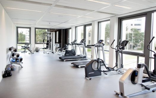 Studio Executive AIA