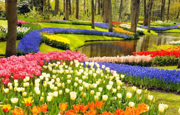 Keukenhof