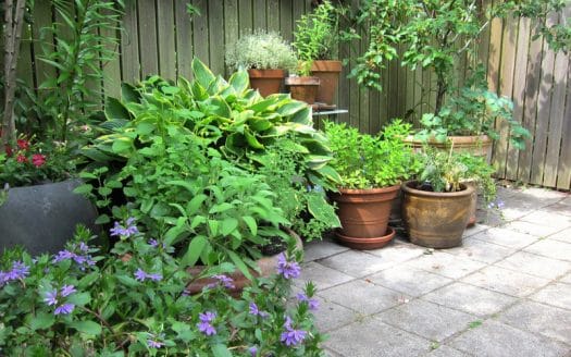 Spacious Apartment with Garden [4 Guests]